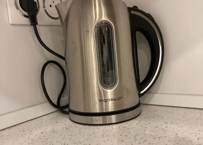 Διαμέρισμα La Cigale Bord De Μεντόν